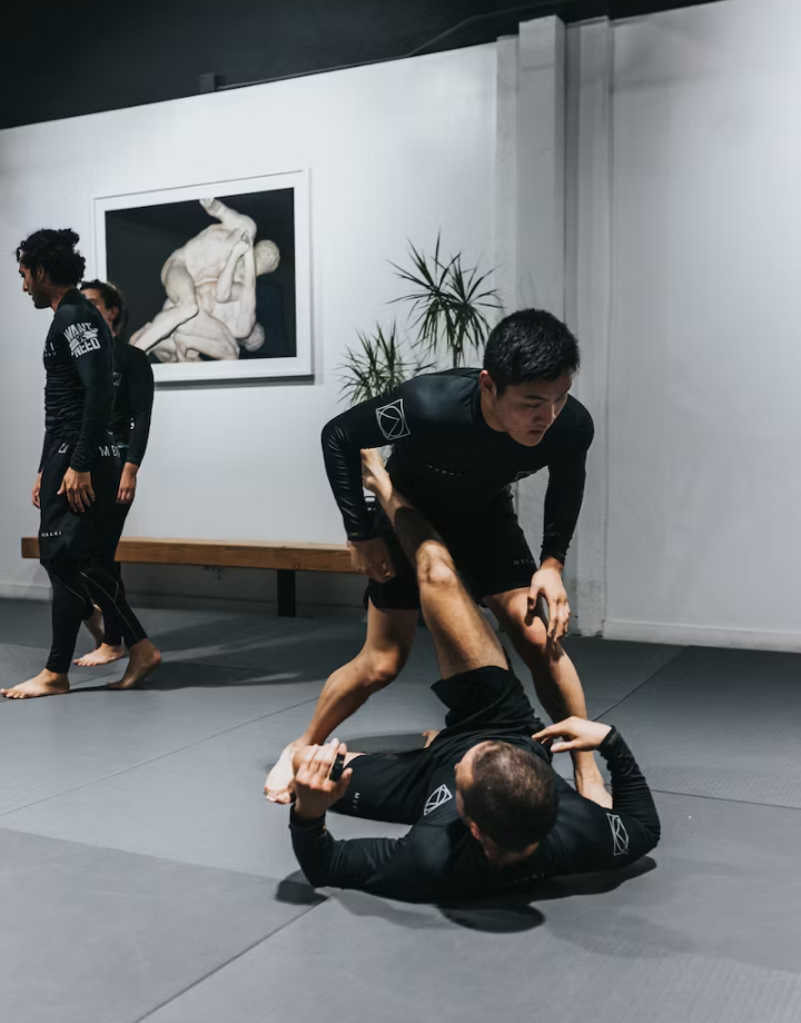 Grapplers doing martial arts in a gym
