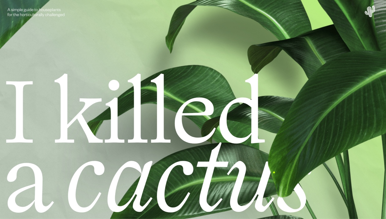 I killed a cactus website shows layered text UI technique
